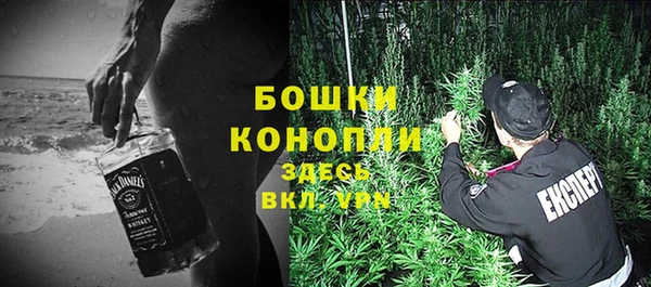 дмт Нягань