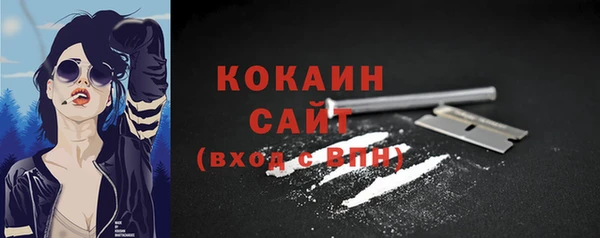 дмт Нягань