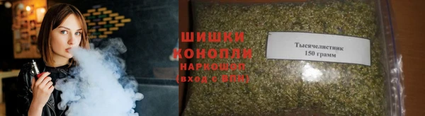 дмт Нягань
