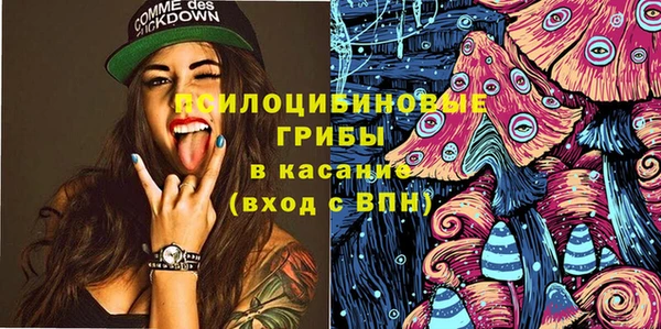 дмт Нягань