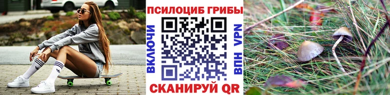 где найти наркотики  Рубцовск  Псилоцибиновые грибы Cubensis 