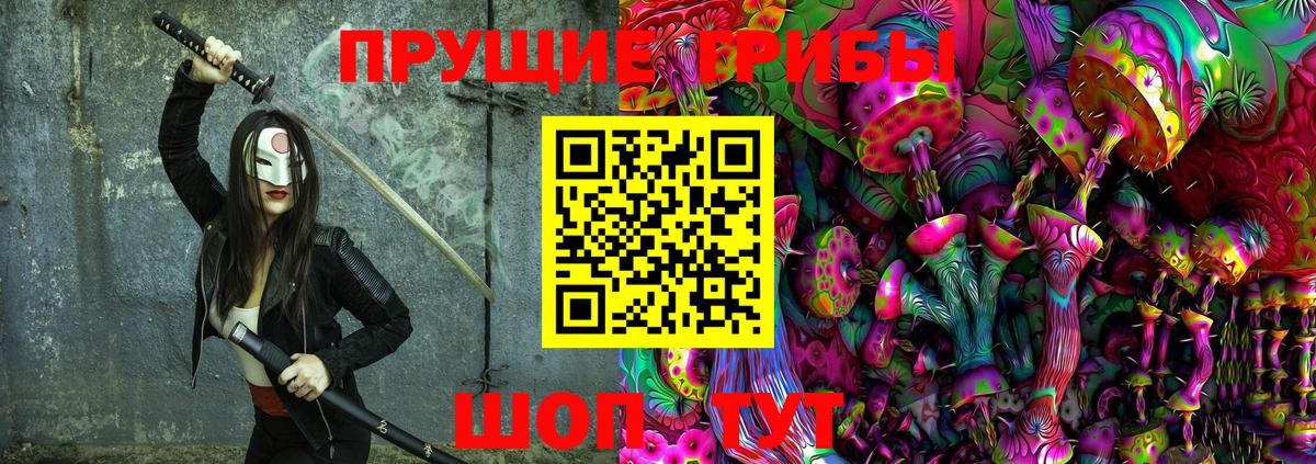 Галлюциногенные грибы Psilocybine cubensis Рубцовск