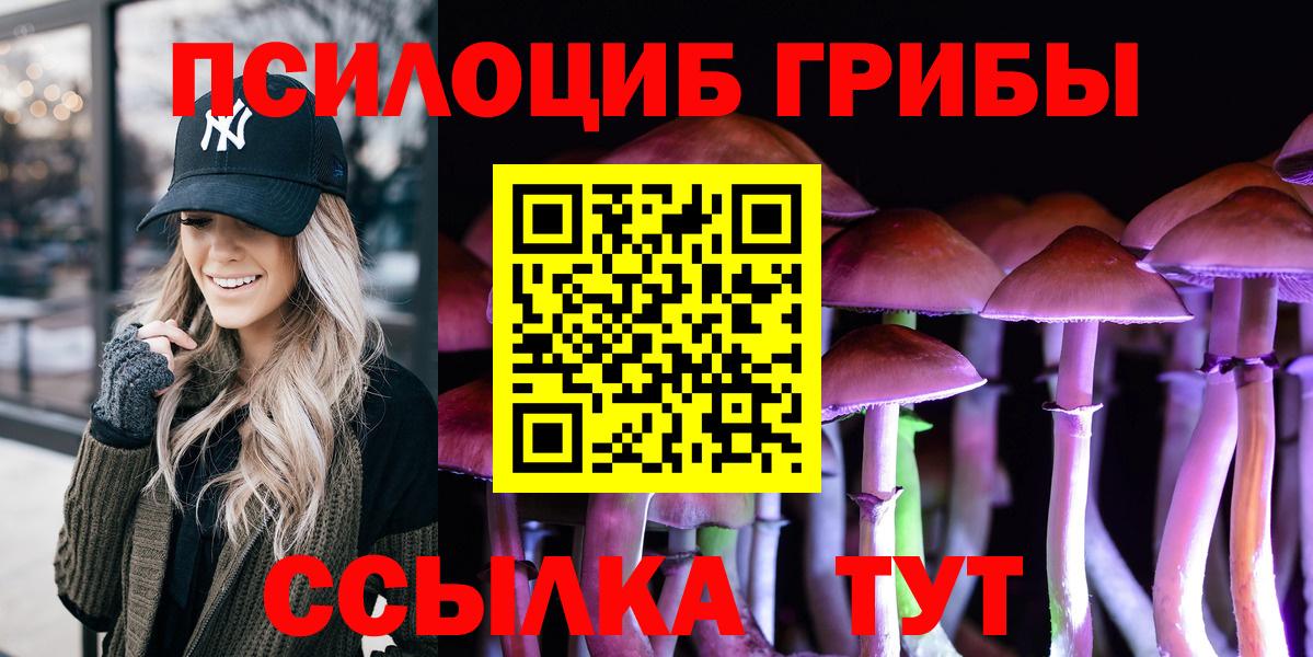 Рубцовск  Псилоцибиновые грибы GOLDEN TEACHER  как найти закладки  Вход с VPN 