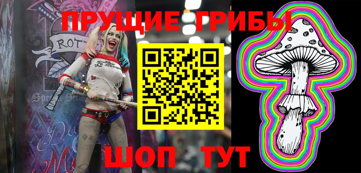 Псилоцибиновые грибы Psilocybe  Рубцовск 